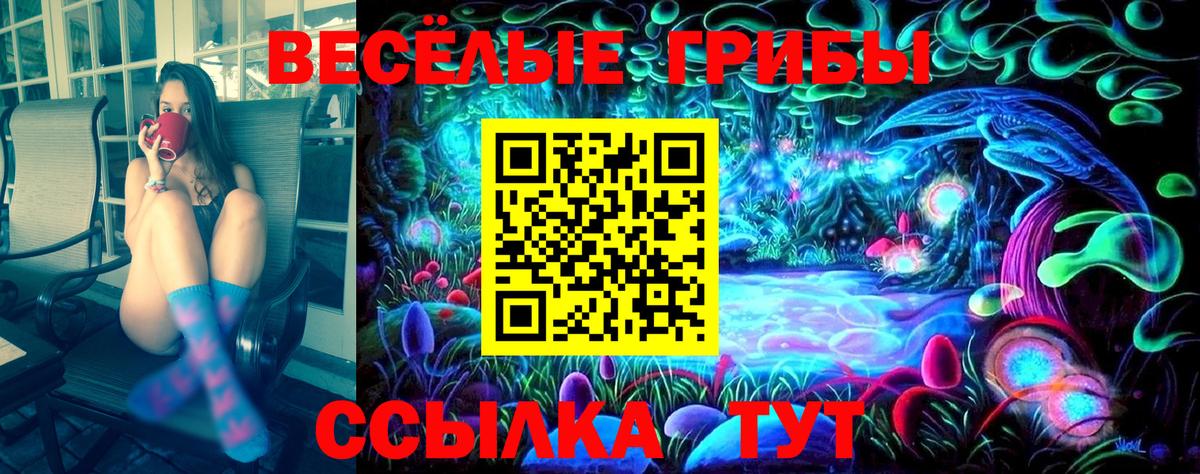 Кропоткин  Псилоцибиновые грибы MAGIC MUSHROOMS  Вход с VPN 